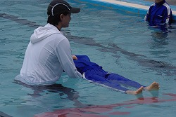 IMGP6502.jpg
