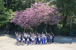IMG_3311.jpg