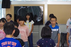 IMGP6512.jpg