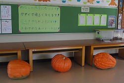IMGP6524.jpg