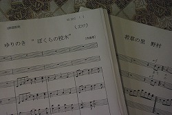 IMGP6587.jpg