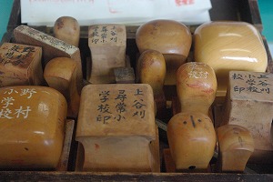 IMGP5582.jpg