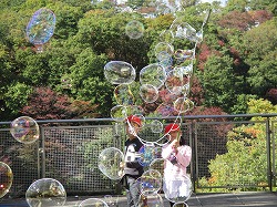 IMG_1243.jpg