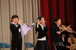 IMG_1557.jpg