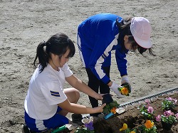 CIMG8157.jpg