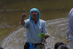 IMGP5620.jpg