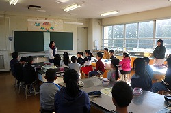 IMG_2069.jpg