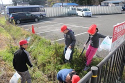 IMG_2072.jpg