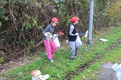 IMG_2076.jpg