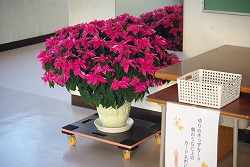 IMGP6742.jpg