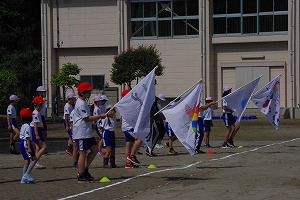 IMGP5670.jpg