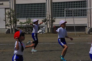 IMGP5686.jpg
