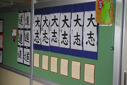 IMGP6955.jpg