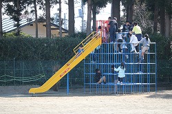 IMG_2978.jpg