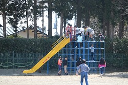 IMG_2981.jpg