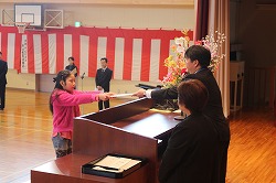 IMG_2991.jpg