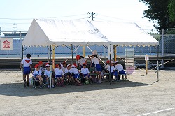 IMG_5288.jpg