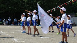 IMG_5338.jpg
