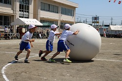 IMG_5384.jpg
