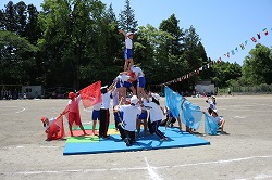 IMG_5429.jpg