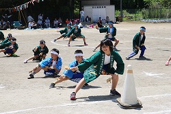 IMG_5464.jpg