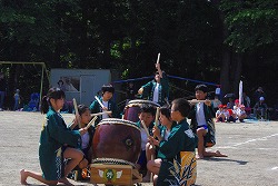 IMGP7590.jpg