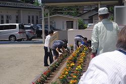 IMGP7779.jpg