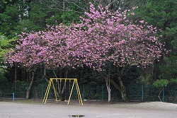 IMGP7483.jpg