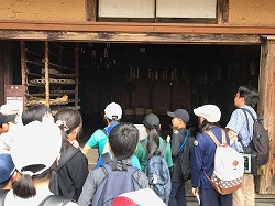 IMG_5093.jpg