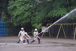 IMGP7958.jpg
