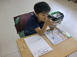 CIMG0898.jpg