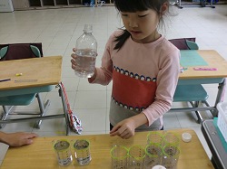 CIMG0919.jpg