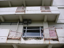CIMG9106.jpg