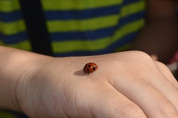 DSC_0216.jpg