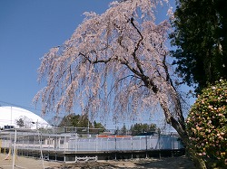 CIMG9705.jpg