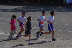 IMGP8205.jpg