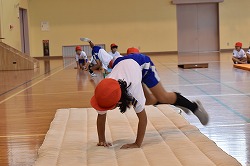 DSC_0237.jpg