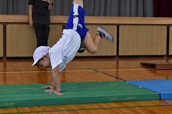 DSC_0266.jpg