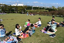 DSC_0566.jpg