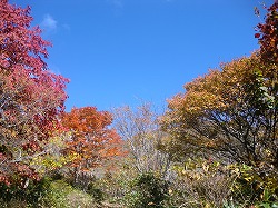 CIMG9390.jpg