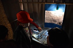 DSC_0862.jpg