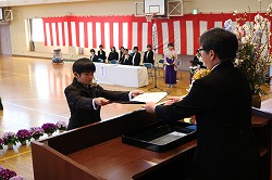 IMG_6248.jpg