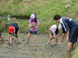 IMG_0270.jpg IMG_0270.jpg