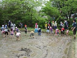 IMG_0297.jpg IMG_0297.jpg