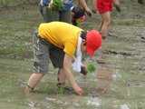 IMG_0283.jpg IMG_0283.jpg