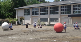 DSC01059.jpg