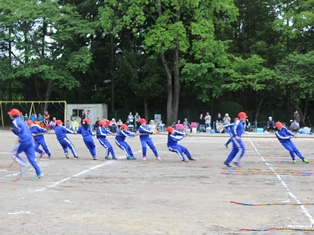 IMG_0242.jpg IMG_0242.jpg