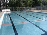 DSC01114.jpg