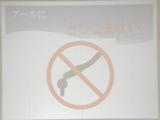 DSC01186.jpg