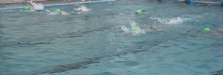 DSC00237.jpg